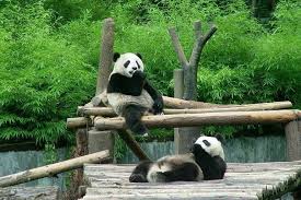 Beijing-Zoo